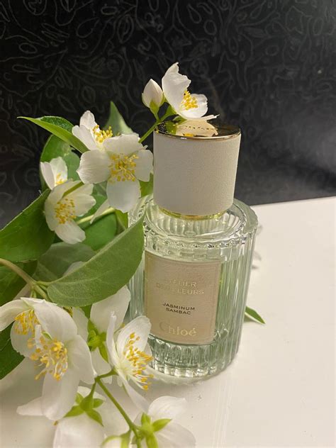 jasminum sambac perfume.